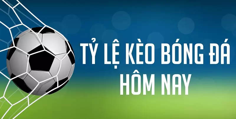 Soi kèo bóng đá Wibo88